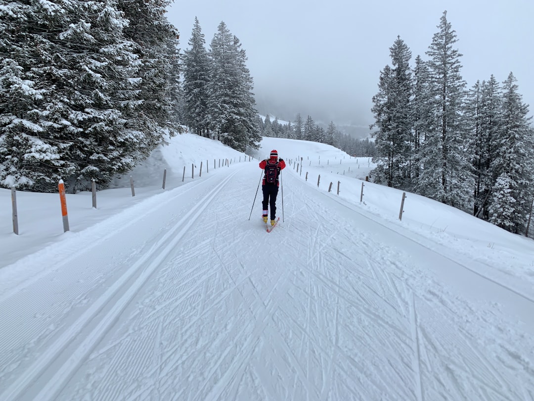 Photo cross-country skiing